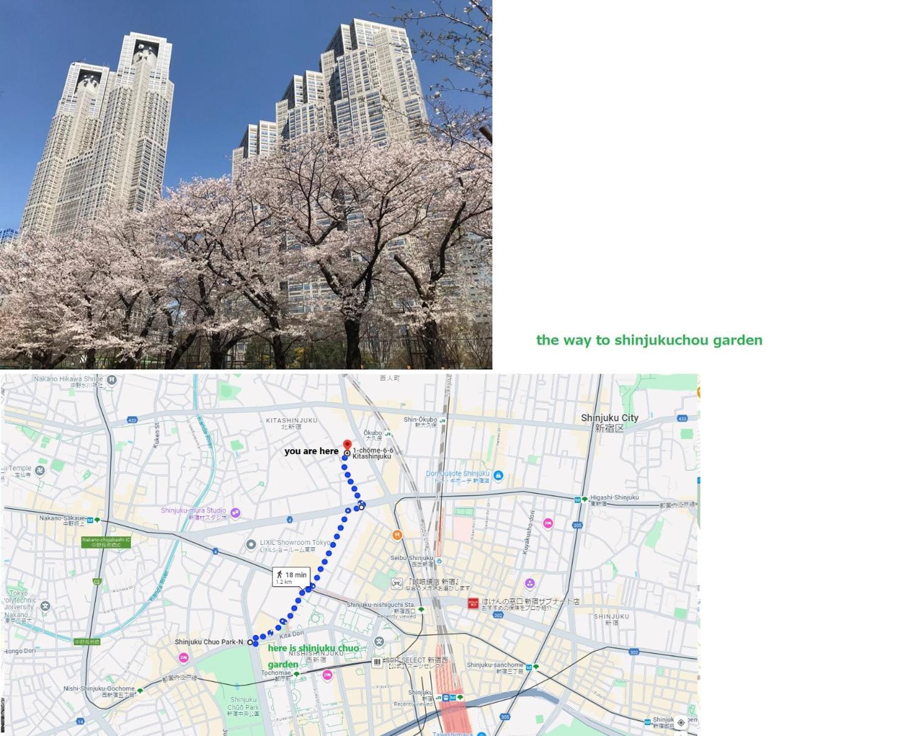 大久保駅から４分、貸切、韓国ダウン至近、新宿/歌舞伎町に徒歩圏内 、단독사용민박 도쿄 외부 사진